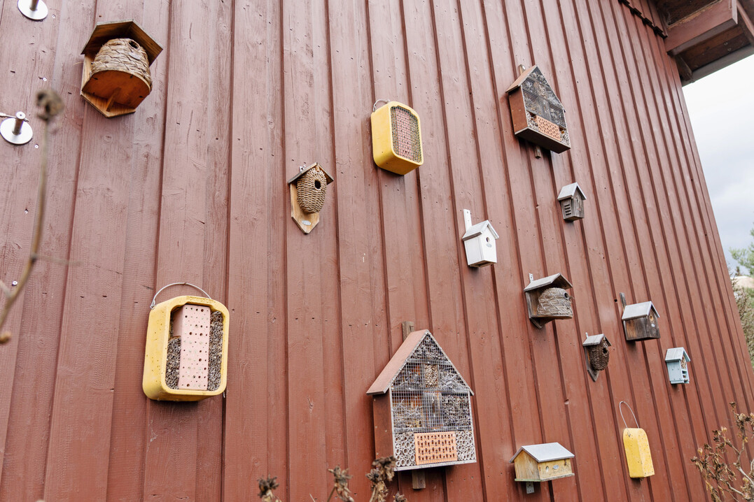 Wragge Betriebsgebude und Betriebshof