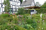 Anja Dzuballe wurde für ihren Bauerngarten in Olpe ausgezeichnet.