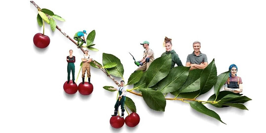 Mitarbeitergewinnung mit dem Green Dream Team