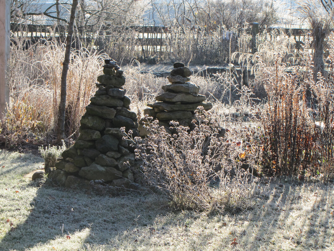 Gerade Pflanzen, die stehenbleiben drfen, sorgen fr Winteraspekte im Garten.