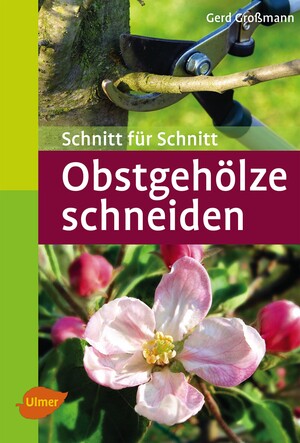 Obstgehlze schneiden