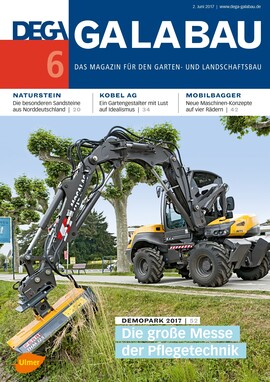 Cover DEGA GALABAU 06/2017