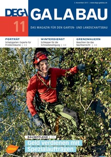 Cover DEGA GALABAU 11/2017