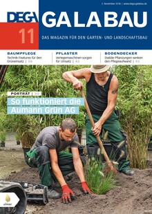 Cover DEGA GALABAU 11/2018