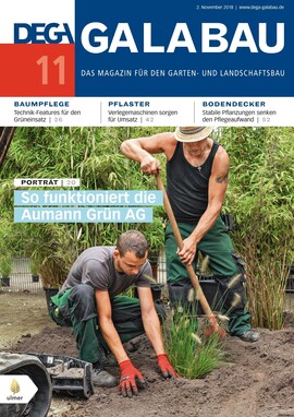 Cover DEGA GALABAU 11/2018