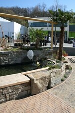 Das Wasserbecken mit Löwenkopfbrunnen.