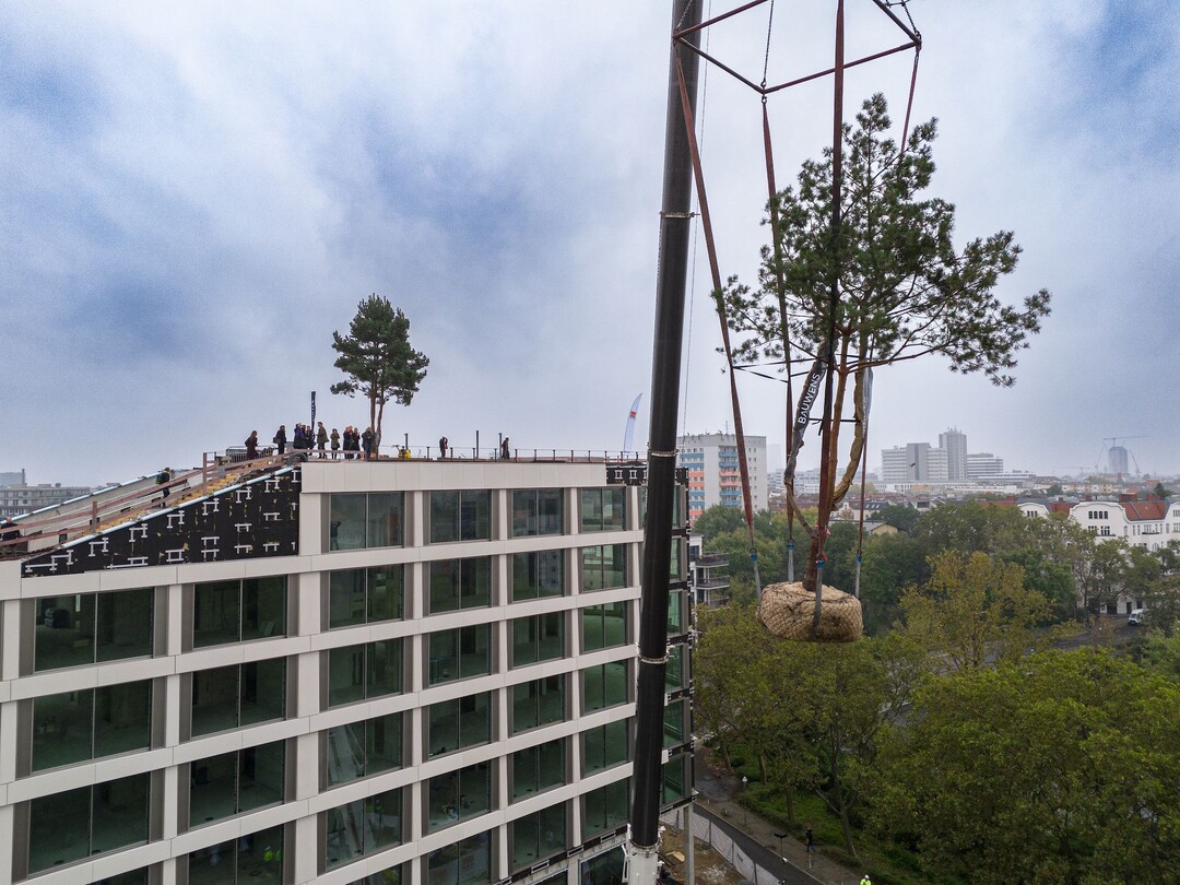 Start der Baumbepflanzung von AERA, Berlin.