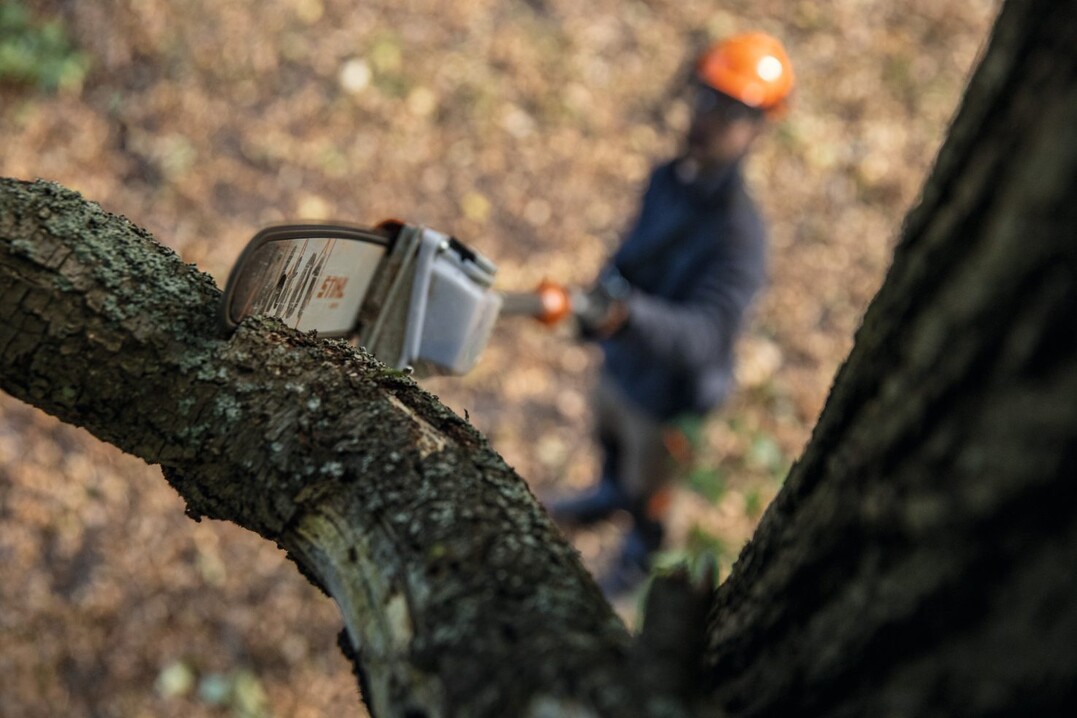 Mit dem Akku-Hoch-Entaster STIHL HTA 160 knnen Profis Baumpflegearbeiten auch bei greren Astdurchmessern mit sicherem Stand vom Boden aus erledigen.