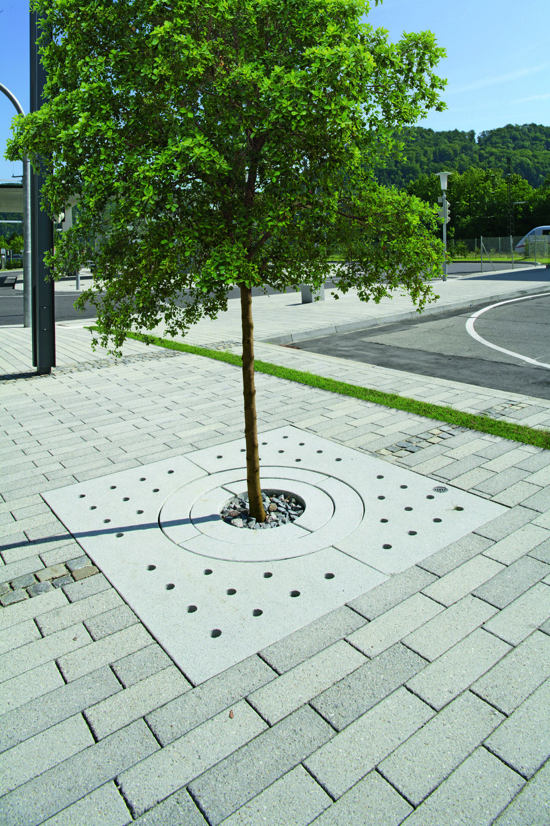 ARPANA Baumquartier