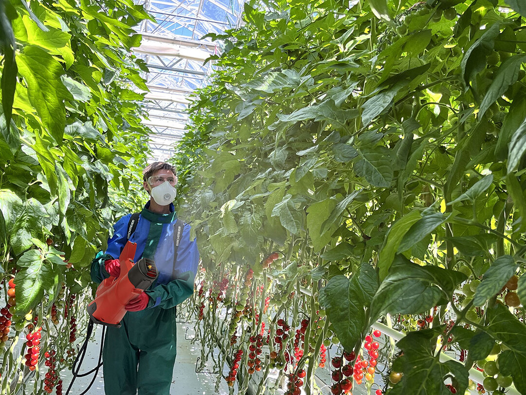 Moderne Sprüh-Applikation mit dem Akku-Sprühgebläse AS 1200