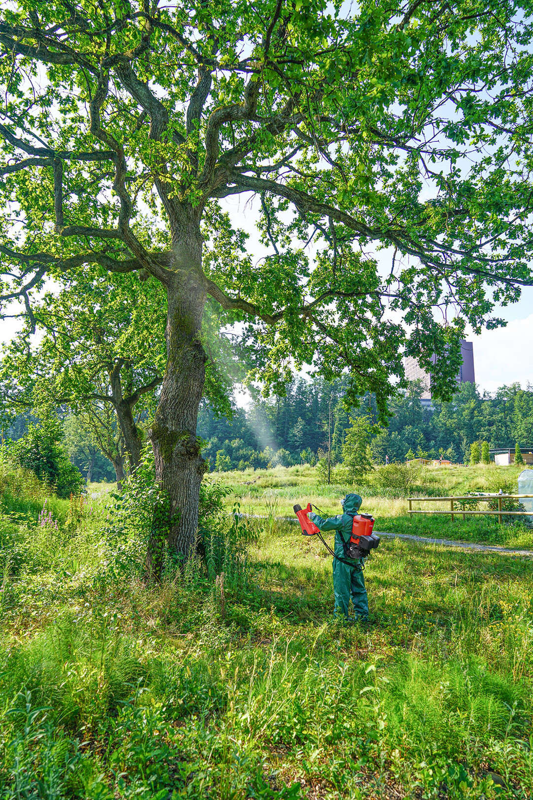 Moderne Sprüh-Applikation mit dem Akku-Sprühgebläse AS 1200