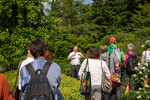Prof. Dipl.-Ing. Sigurd Henne berichtet auf der Führung durch den Lehr- und Versuchsgarten Braike zum Thema Blockpflanzungen