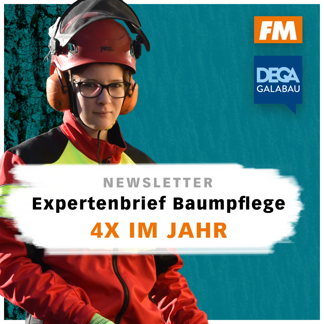  Mit dem neuen "Expertenbrief Baumpflege" startet Ulmer in der Baumpflege durch. Viermal im Jahr bekommen Expertinnen und Experten spannende Inhalte frei Haus. 