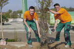 v.l.: Michael Huber und Michael Reindl bei der Pflanzung einer Felsenbirne auf ihrer Wettkampffläche beim Bayern Cup. Der Berufswettbewerb der bayerischen Landschaftsgärtner-Auszubildenden fand am 28. und 29. April 2022 auf dem Gelände der ehemaligen Landesgartenschau in Bayreuth statt.