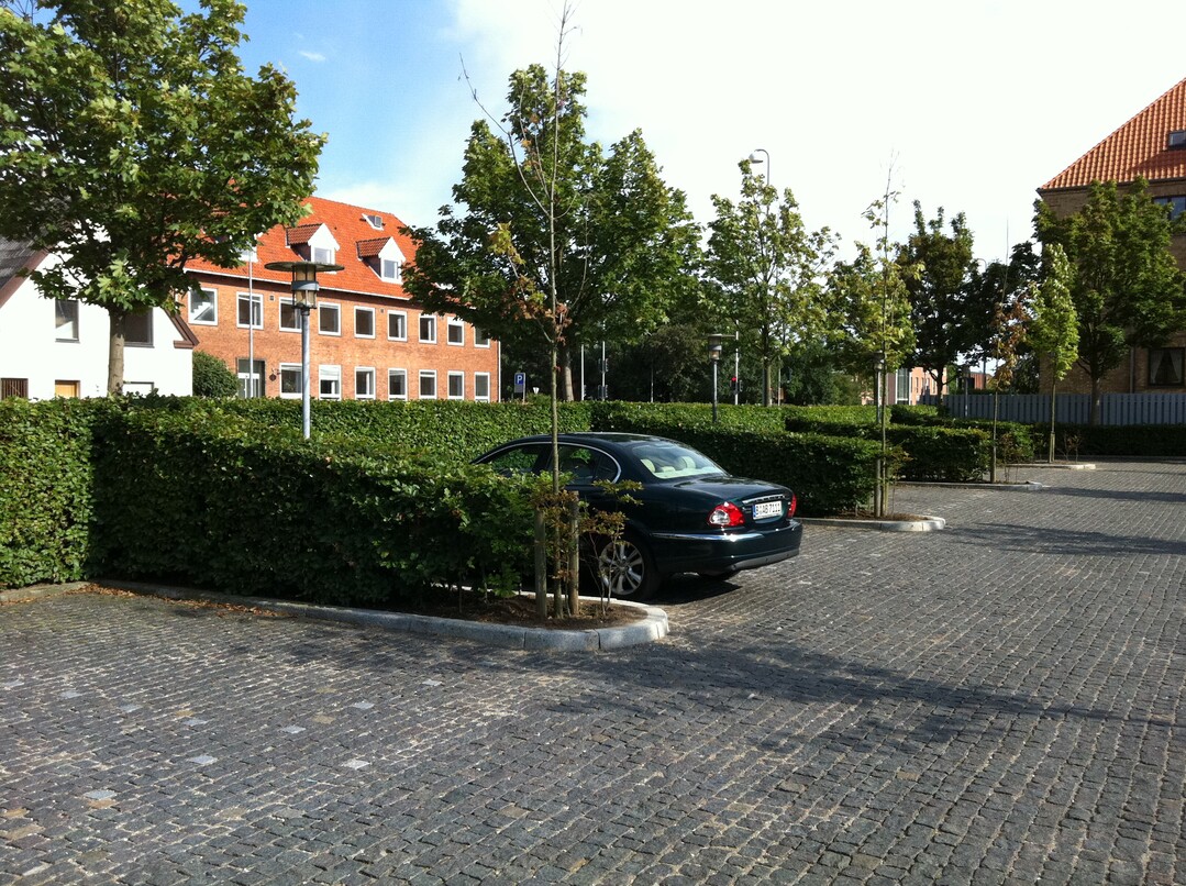 Solche Hecken nehmen zwar Platz weg, helfen aber die Flche zu gliedern und besser in die Umgebung einzupassen. Gerade in historisch, touristisch oder landschaftlich sensibler Umgebung lohnt sich der Mehraufwand.