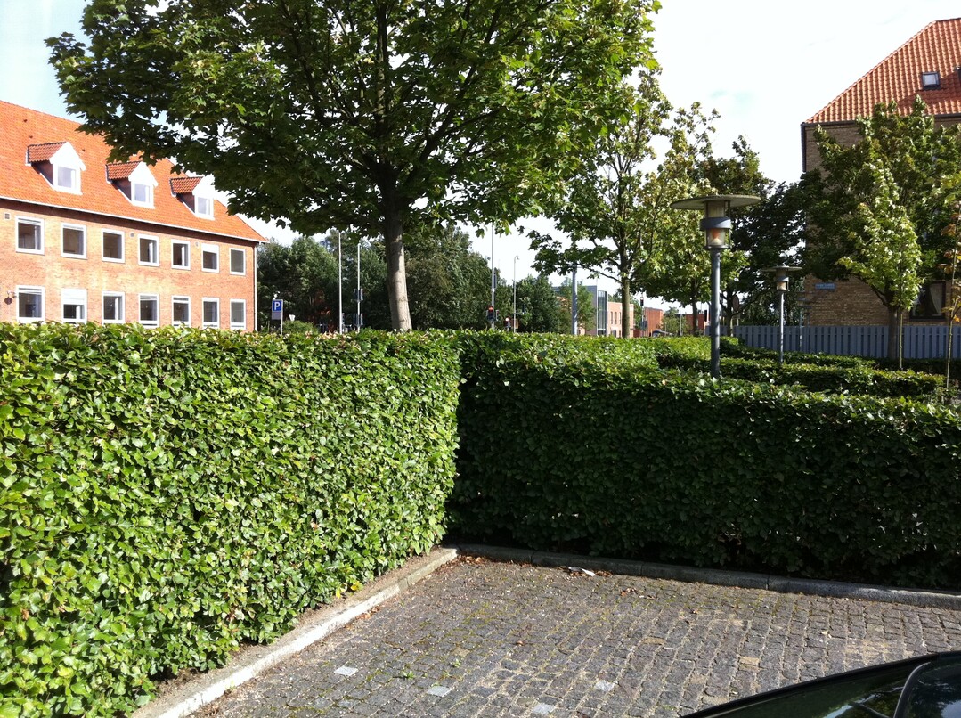 Solche Hecken nehmen zwar Platz weg, helfen aber die Flche zu gliedern und besser in die Umgebung einzupassen. Gerade in historisch, touristisch oder landschaftlich sensibler Umgebung lohnt sich der Mehraufwand.