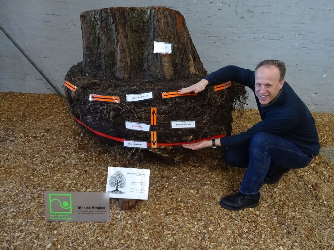 Jens Sander vor einem Exponat von Uwe Thomsen, das veranschaulicht, wie eine nachträgliche Erhöhung des Erdniveaus beim Baum Fäulnis und Sauerstoffmangel hervorruft.
