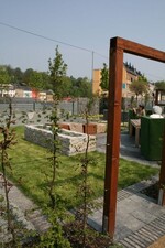 Blick in das "Grüne Wohnzimmer" - eine Hainbuchenhecke umgibt den gesamten Garten