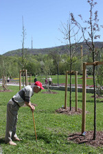 Schaut genau hin beim Laga-Besuch: der Löbauer Wolfgang Atte.