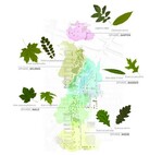 Für jede Sphäre ein „gemischtes Doppel“ – so sieht es das Pflanzkonzept für die fünf 
Sphären im neuen Ortspark vor.