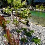 Biotop & Technik Ratzesberger