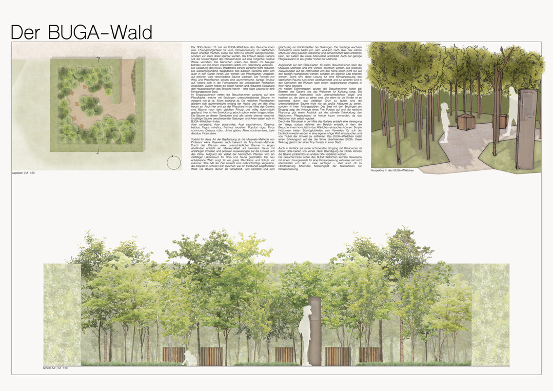 Der 3. Preis des DGGL-Frderwettbewerb Ulrich Wolf 2022/23 Der BUGA-Wald von Annika Lorengel, Neubrandenburg