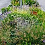 Stauden bringen bunte Farbe an graue Straßen.