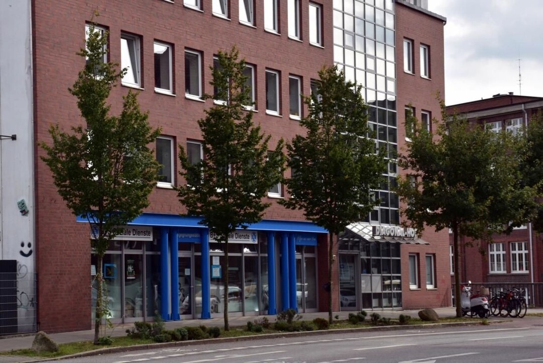 Carpinus betulus "Frans Fontaine" als Straßenbaum in Hamburg bildet im Alter eher eine eiförmige Krone.
