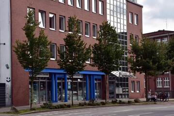  Carpinus betulus "Frans Fontaine" als Straenbaum in Hamburg bildet im Alter eher eine eifrmige Krone.  
