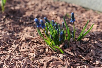Gartendekorspne von Cemwood ist langlebig und witterungsbestndig.