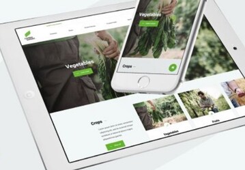Bequem auch unterwegs per Smartphone und Tablet: Dank des responsiven Designs kann man Website-Informationen von COMPO EXPERT nun auf allen Endgerten nutzen.