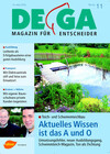 Cover DEGA GALABAU 11/2006