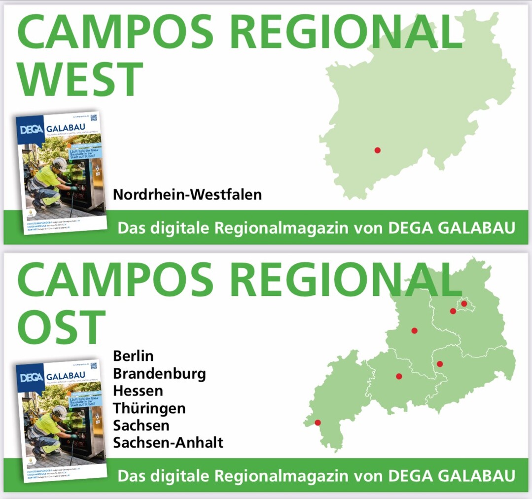 Ab Januar ist Campos Regional das kostenlose und digital Regionalmagazin