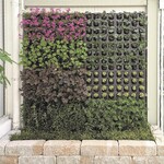 Der Erdanker-Experte Platipus nutzt seine Expertise nun auch zum Begrünen von Wänden.