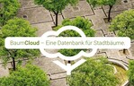 Das Online-Tool baumcloud.org harmonisiert Baumkataster und macht die Daten besser nutzbar.