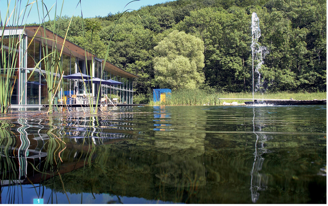 Anhand des Teichs vor der Firmenzentrale erklärt Peter Petrich seinen Kunden die Unterschiede zwischen den Biotop-Produkten Living-Pool und Swimming-Teich.