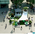 Hamburg: In der Einkaufsmeile Mönckebergstraße fiel das Grün richtig auf.