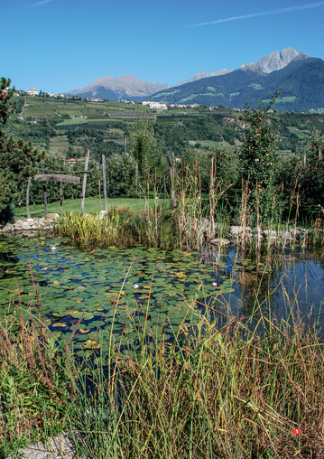 2009 fand der Schwimmteichkongress in Meran statt – schne Kulisse inklusive.