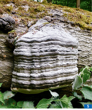 Rus porno Tanya Tanya Qozoq porno videolarini tomosha qiling