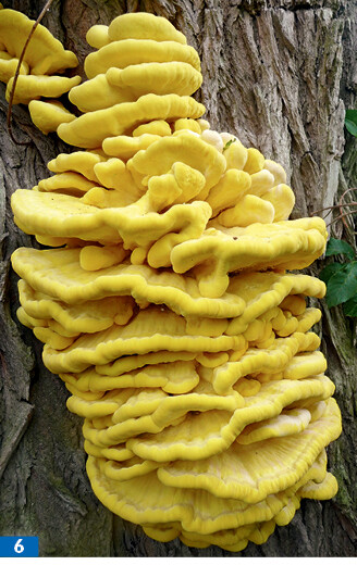 Porno ogay ona ertalab jinsiy aloqa Pul uchun qiz surati