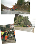 An den Straßen Nordrhein-Westfalens sowie in der gesamten Mitte Deutschlands fielen zahlreiche Bäume. Oft wurden dadurch Autos und Häuser beschädigt.