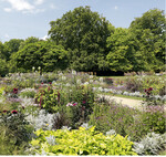 Der Stadtpark-Botanischer Garten Gütersloh bekam schon zum dritten Mal die grüne Flagge.