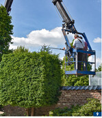 Mit aufwendiger Technik und viel Fachkompetenz rücken Borsch Männer den Gehölzen zu Leibe.