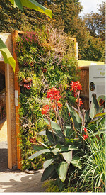 Tropischer Garten mit Living Wall im August  gezeigt von der Hochschule Anhalt