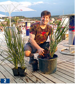 Das Bepflanzungskonzept hat sich der ehemalige Gartenpraxis-Redakteur Jonas Reif ausgedacht.