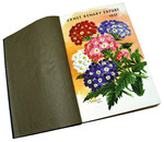 Katalog aus dem Jahr 1937