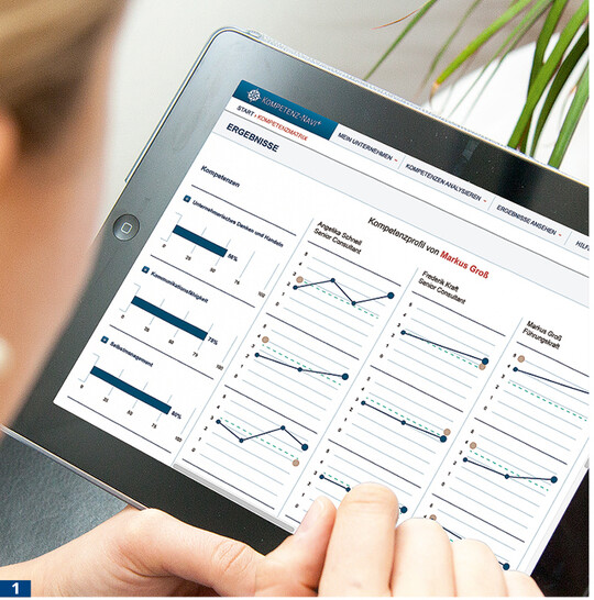 Das Diagnosewerkzeug ist webbasiert, braucht also keine komplizierte Installation, und ist leicht zu bedienen.
