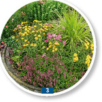 Trockenheitsliebende Arten wie Schafgarbe, Alant oder Gamander hielten im Versuch 48-stündiger Überstauung stand.