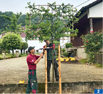 Zu den Kernkompetenzen des Unternehmens gehört der Umgang mit Gehölzen ebenso ...