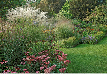 Grser gehren zu den wichtigsten Strukturbildern im herbstlichen Staudengarten.